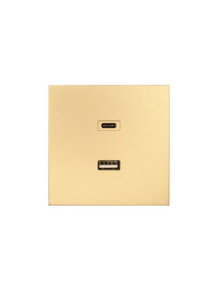 Розетка СП ZIMA IP20 Type-C + USB механизм зол. LEZARD 704-3688-192TC