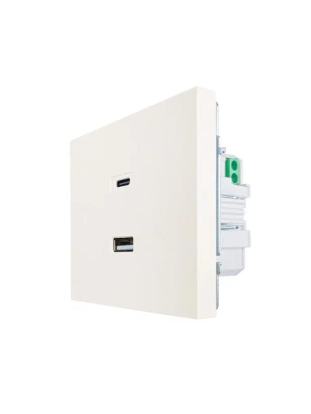 Розетка СП ZIMA IP20 Type-C + USB механизм сл. кость LEZARD 704-9088-192TC