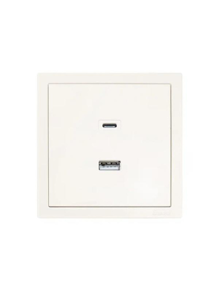 Розетка СП ZIMA IP20 Type-C + USB механизм сл. кость LEZARD 704-9088-192TC