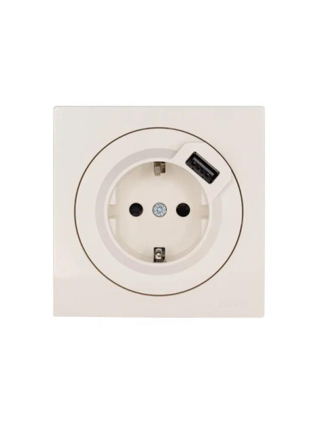 Розетка 1-м СП OSEN с заземл. + USB разъем механизм сл. кость LEZARD 743-9088-181