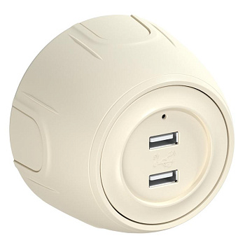 Розетка USB 2-м Rotondo с подсветкой беж. OneKeyElectro 7700897