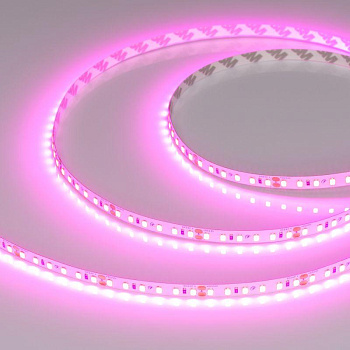 Лента светодиодная RT-A120-8mm 24V Magenta 9.6Вт/м IP20 2835 (уп.5м) Arlight 043381