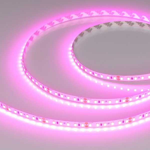 Лента светодиодная RT-A120-8mm 24V Magenta 9.6Вт/м IP20 2835 (уп.5м) Arlight 043381