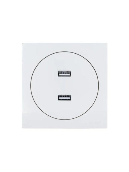 Розетка 2-м СП OSEN USB разъем бел. LEZARD 743-0288-192