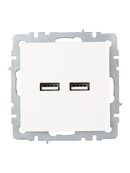 Розетка BRITE USB A+A 3.1А РЮ10-1-БрЖ механизм жемчуж. IEK BR-U21-D31-K36