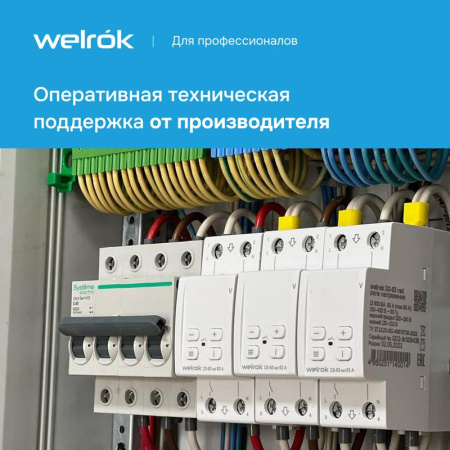 Реле напряжения D2-63 TN red (с транзитом нуля) Welrok 4660251141882