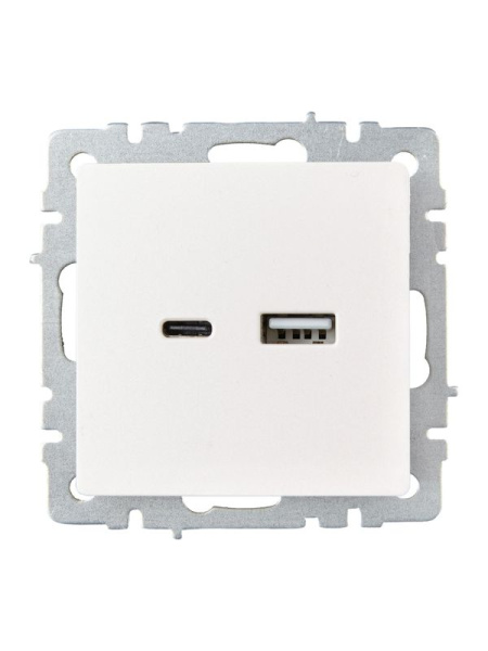 Розетка BRITE USB A+C 18Вт РЮ11-1-БрЖ механизм жемчуж. IEK BR-U22-018-K36