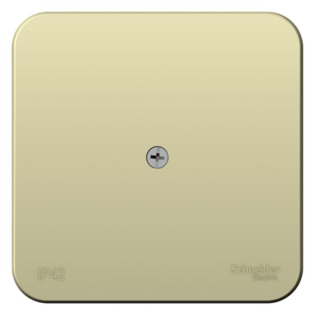 Коробка распределительная ОП Blanca 16А 250В IP42 беж. SE BLNRK000017