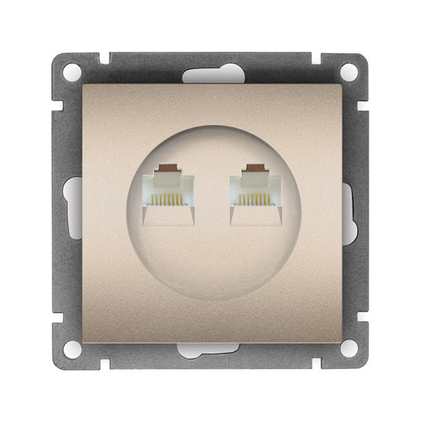 Розетка компьютерная 2-м СП Афина RJ45 кат.5E механизм шампань Universal A1086-Br