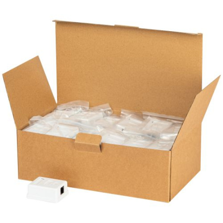 Розетка компьютерная 1-м RJ45 кат.5E неэкранир. RJ01UN Эра Б0056900