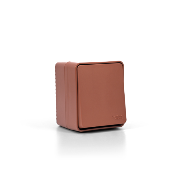 Переключатель проходной 1-кл. ОП AtlasDesign PROFI IP54 10AX терракот. SE ATN547061