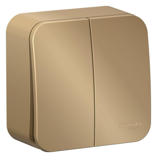 Выключатель 2-кл. ОП Blanca 10А IP20 (сх. 5) 250В с изолир. пластиной титан SE BLNVA105014