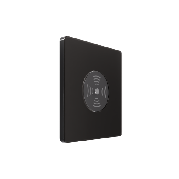 Выключатель звуковой СП Systeme Infinity 100Вт 230В с выдержкой времени полярная ночь SE FSE001094