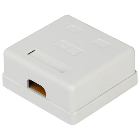 Розетка компьютерная 2-м RJ45 кат.5E неэкранир. RJ02UN Эра Б0056902