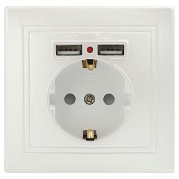 Розетка 1-м СП Plano 1-410-06 IP20 + 2хUSB перламутр Intro Б0053947