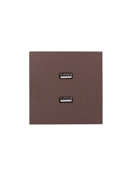 Розетка 2-м СП ZIMA IP20 USB механизм шоколад LEZARD 704-7388-192