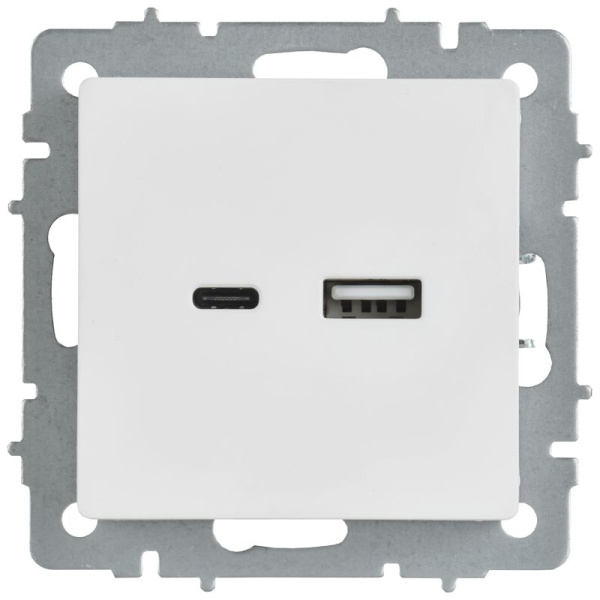 Розетка BRITE РЮ11-1-БрАБ 18Вт USB A+C механизм арктич. бел. IEK BR-U22-018-K91