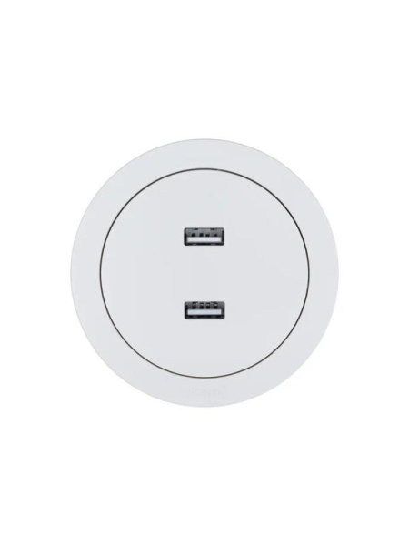 Розетка 2-м СП OSEN USB разъем бел. LEZARD 743-0288-192