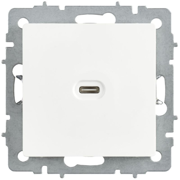Розетка СП BRITE РЮ12-1-БрАБ USB C 65Вт высокоскор. заряд. арктич. бел. IEK BR-U13-065-K91