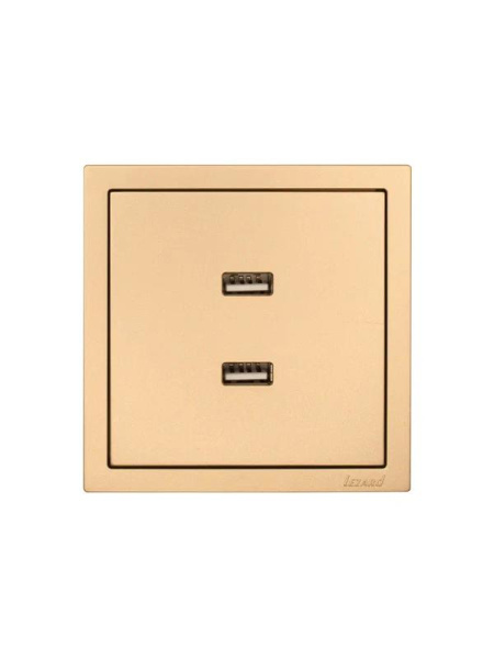 Розетка 2-м СП ZIMA IP20 USB механизм зол. LEZARD 704-3688-192
