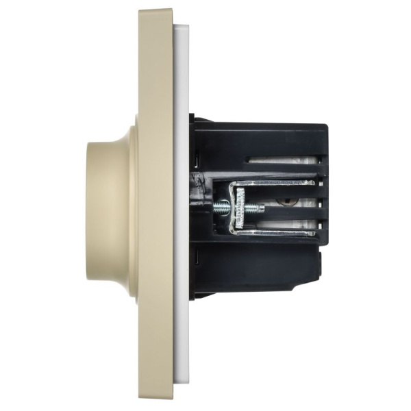 Светорегулятор поворотно-нажимной СП FORTE&PIANO FP454 600Вт ваниль IEK FP-D20-0600-K10