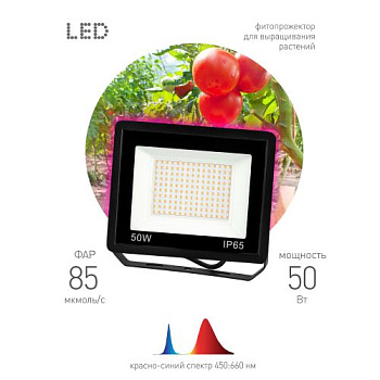 Прожектор светодиодный для растений FITO-50W-RB-LED 50Вт IP65 для цветения и плодоношения красно-синего спектра ЭРА Б0046368