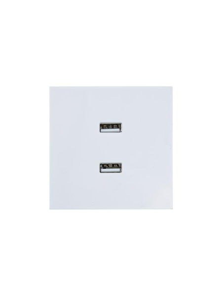 Розетка 2-м СП ZIMA IP20 USB механизм бел. LEZARD 704-0288-192