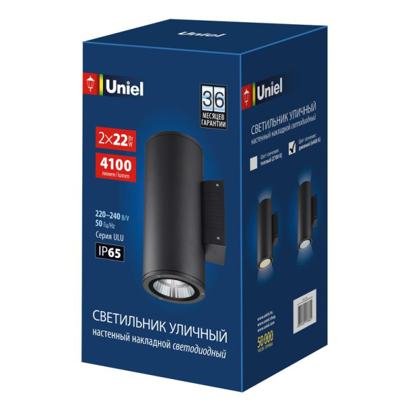 Светильник светодиодный ULU-S22D-2x22W/6400K IP65 BLACK уличный архитектурный накладной черн. Uniel UL-00010852