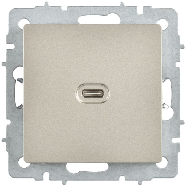 Розетка СП BRITE РЮ12-1-БрШ USB C 65Вт высокоскор. заряд. шампань IEK BR-U13-065-K37