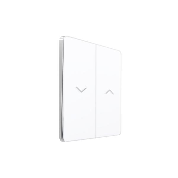 Выключатель для жалюзи СП Systeme Infinity 10А 250В арктич. лед SE FSE000119
