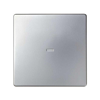 Клавиша с окном подсветки алюм. Simon82 Detail 8200011-033