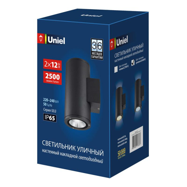 Светильник светодиодный ULU-S22D-2x12W/6400K BLACK 24Вт 6400К IP65 уличный черн. Uniel UL-00010848