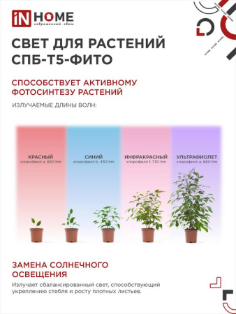 Светильник светодиодный СПБ-Т5-ФИТО 10Вт 230В 570мм IN HOME 4690612033099