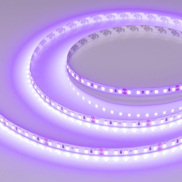Лента светодиодная RT-A120-8mm 24В Violet 9.6Вт IP20 2835 (уп.5м) Arlight 043384