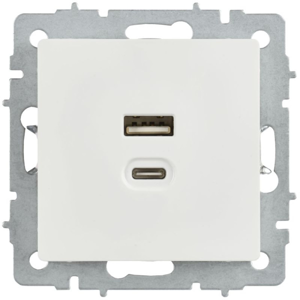 Розетка СП BRITE РЮ11-2-БрБ USB A+C 45Вт высокоскор. заряд. бел. IEK BR-U22-045-K01