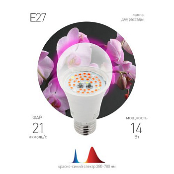 Лампа светодиодная FITO-14W-RB-E27 14Вт E27 для растений красн./син. спектр Эра Б0050602