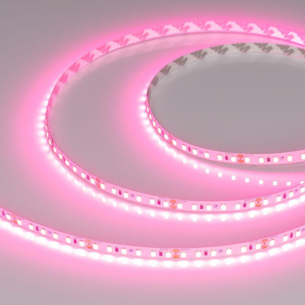 Лента светодиодная RT-A120-8mm 24V Pink 9.6Вт/м IP20 2835 (уп.5м) Arlight 043380