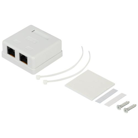 Розетка компьютерная 2-м RJ45 кат.5E неэкранир. RJ02UN Эра Б0056902