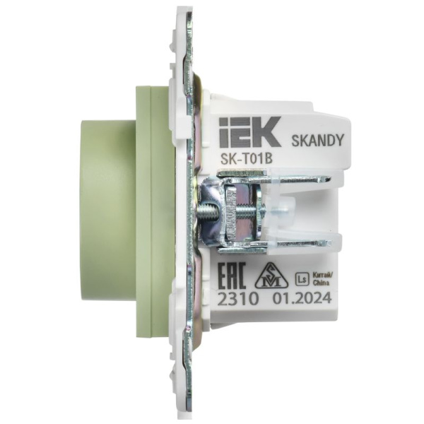 Термостат электронный SKANDY SK-T01G с индикацией мятный IEK SK-RT11-K06