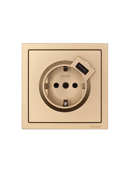 Розетка 1-м СП ZIMA IP20 + USB с заземл. механизм зол. LEZARD 704-3688-181