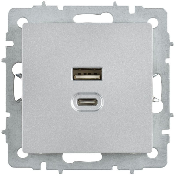Розетка СП BRITE РЮ11-2-БрА USB A+C 45Вт высокоскор. заряд. алюм. IEK BR-U22-045-K47