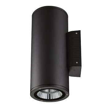 Светильник светодиодный ULU-S22D-2x22W/6400K IP65 BLACK уличный архитектурный накладной черн. Uniel UL-00010852