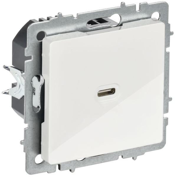 Розетка СП BRITE РЮ12-1-БрБ USB C 65Вт высокоскор. заряд. бел. IEK BR-U13-065-K01