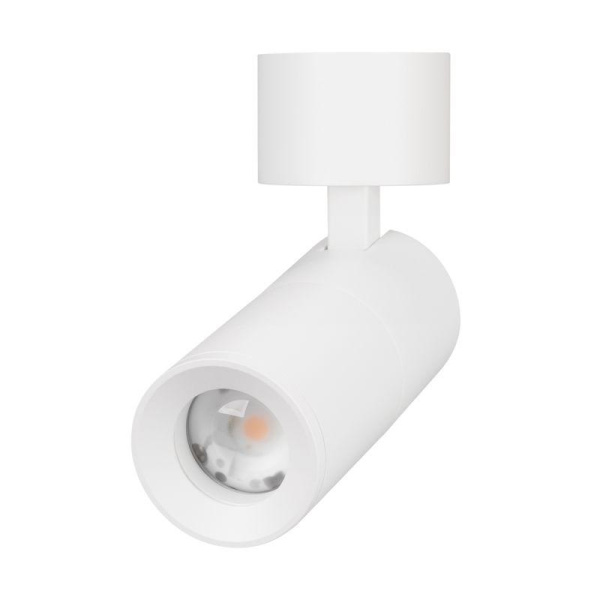 Светильник светодиодный SP-ARTEMIS-SURFACE-FLAP-R55-12W Day4000 (WH 8-80 deg 230В) IP20 металл Arlight 051787