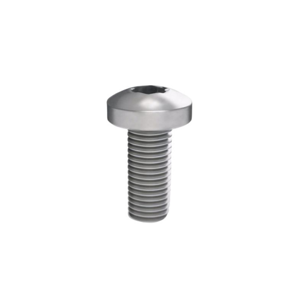 Винт М5х12 под шлиц Torx (уп.100шт) DKC R5M512