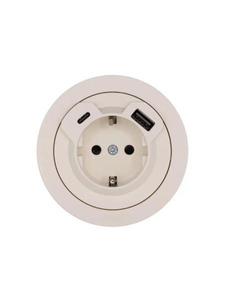 Розетка 1-м СП OSEN с заземл. TC + USB разъем механизм сл. кость LEZARD 743-9088-181TC