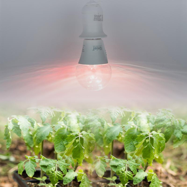 Лампа светодиодная для растений LED-A60-10W/SPM3/E27/CL PLP35WH MULTIPLANT 10Вт E27 форма "A" три спектра для проращ. роста и цветения прозр. Uniel UL-00011438