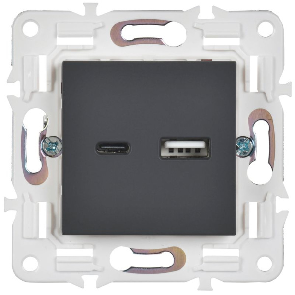 Розетка USB A+C 18Вт SKANDY SK-R13G графит IEK SK-U22-018-K53