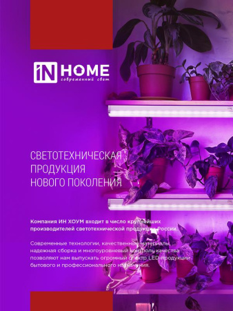 Светильник светодиодный СПБ-Т5-ФИТО 15Вт 230В 870мм IN HOME 4690612033105