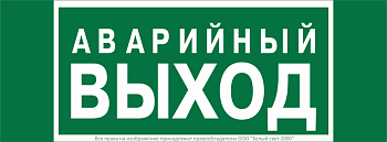 Знак безопасности NPU-3413.E23 "Аварийный выход" Белый Свет a16529